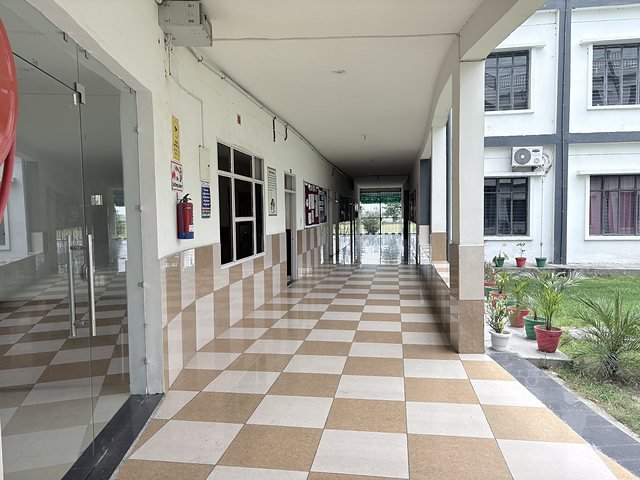 A long checkerboard corridor lined with potted plants in daylight